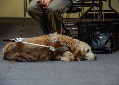Photo from the 2013 Disability Employment Awareness Conference